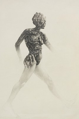 Image 7 of 25
