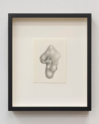 Image 12 of 25