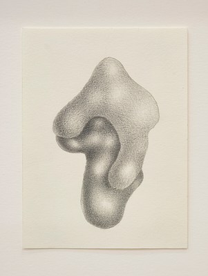 Image 13 of 25