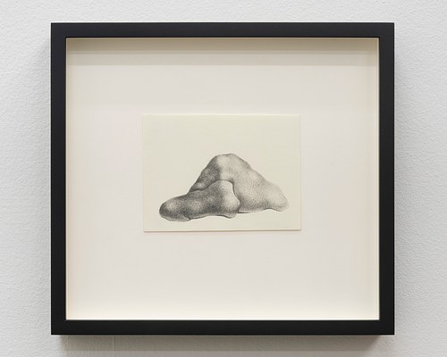 Image 14 of 25