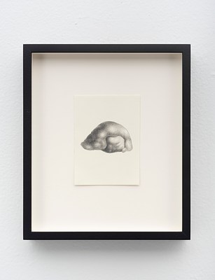Image 20 of 25