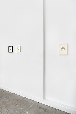 Image 19 of 25