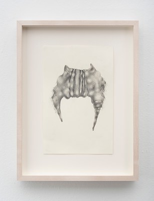 Image 22 of 25