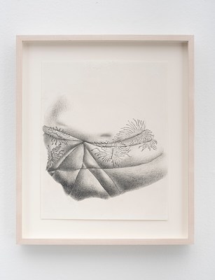 Image 25 of 25