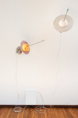 Image 14 of 20