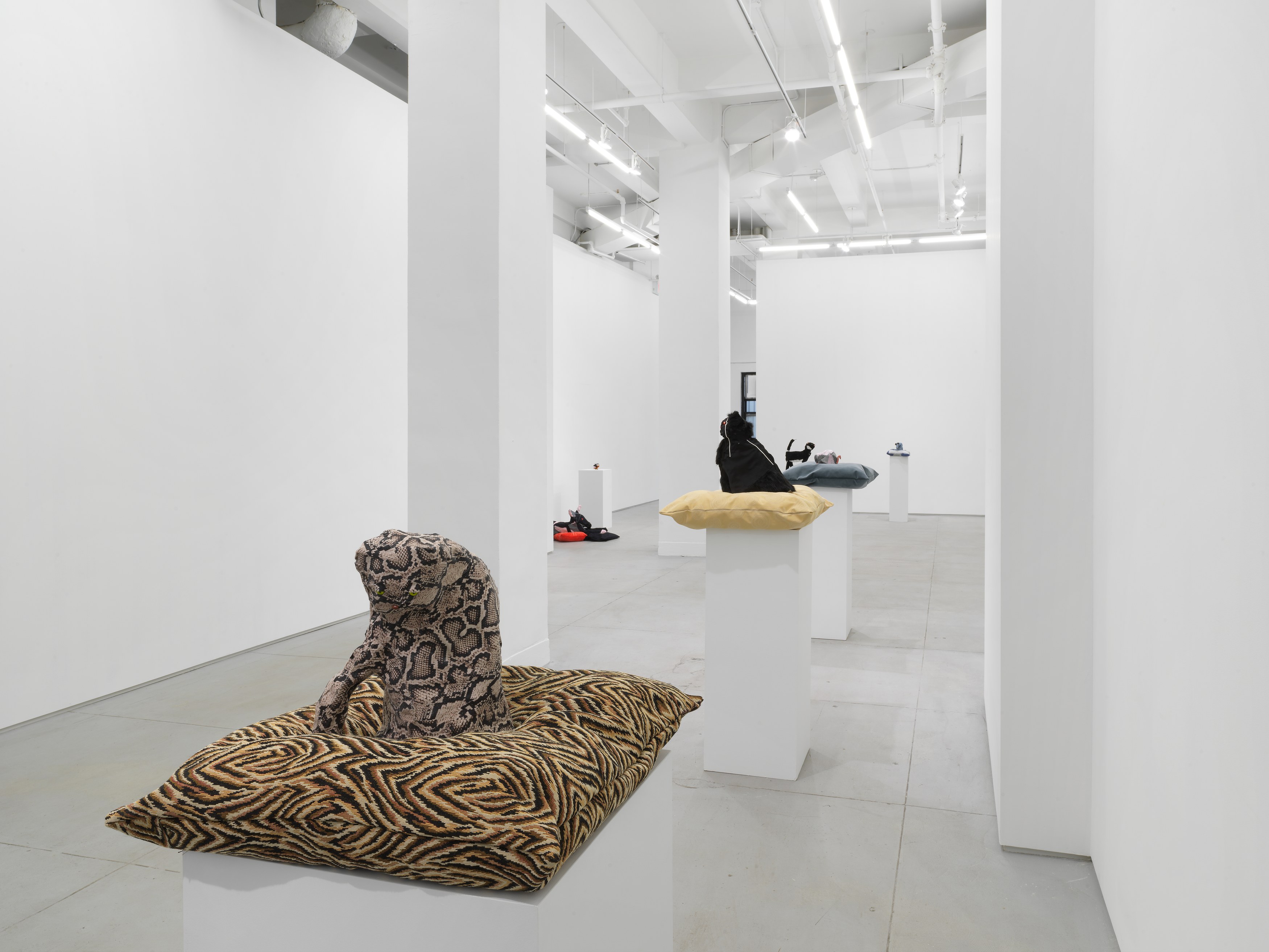 Installation view 4