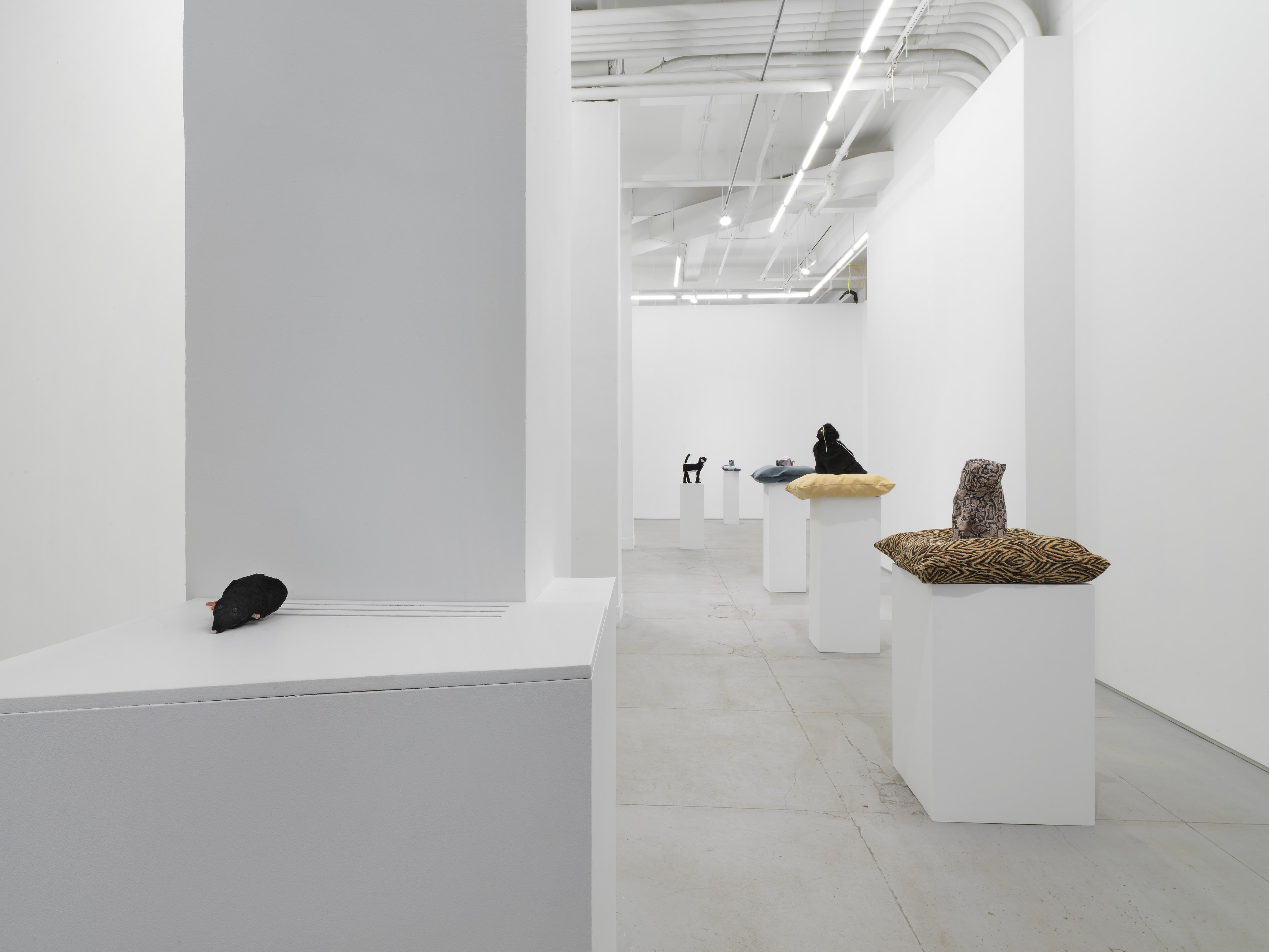 Installation view 2