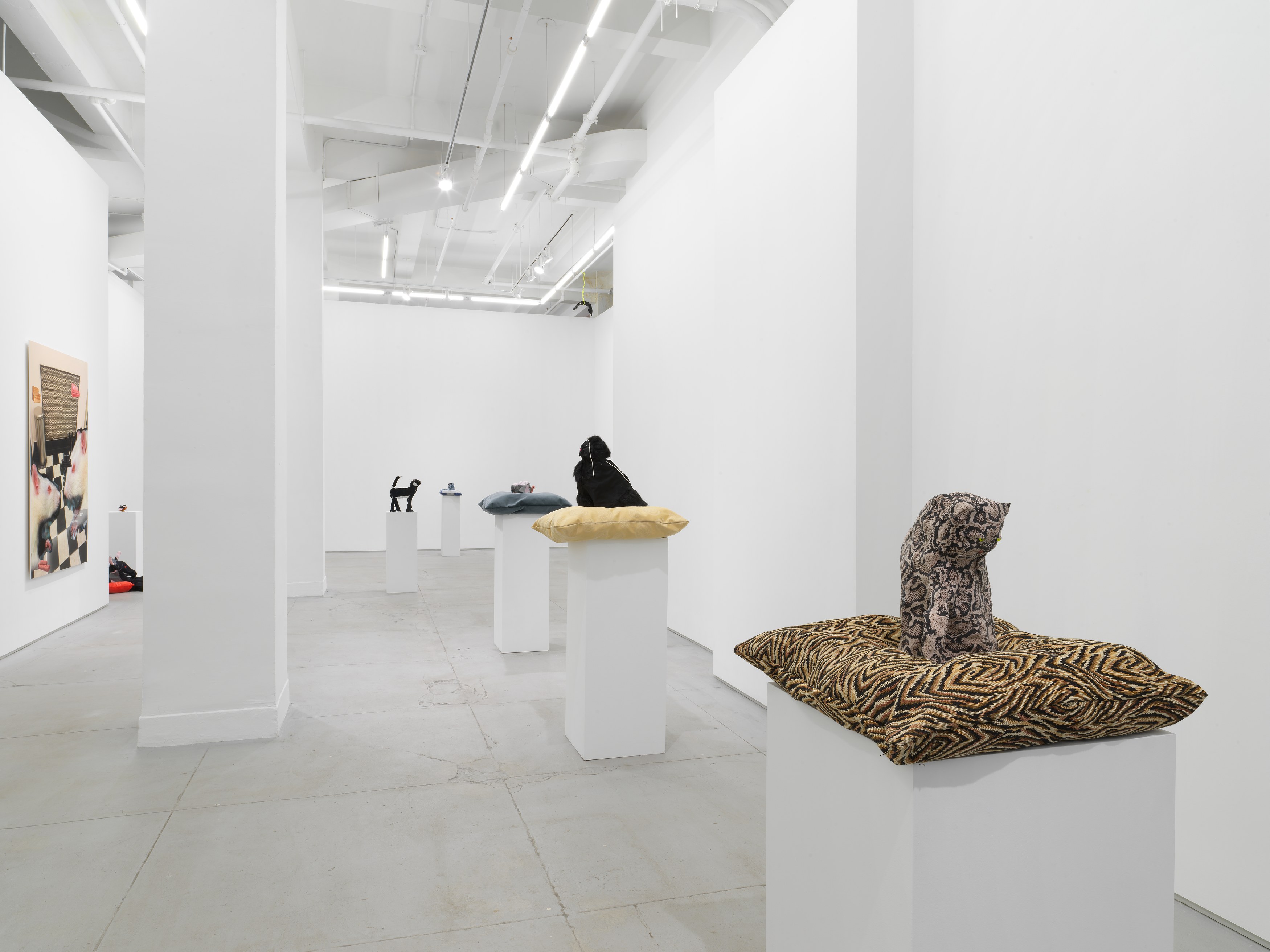 Installation view 3