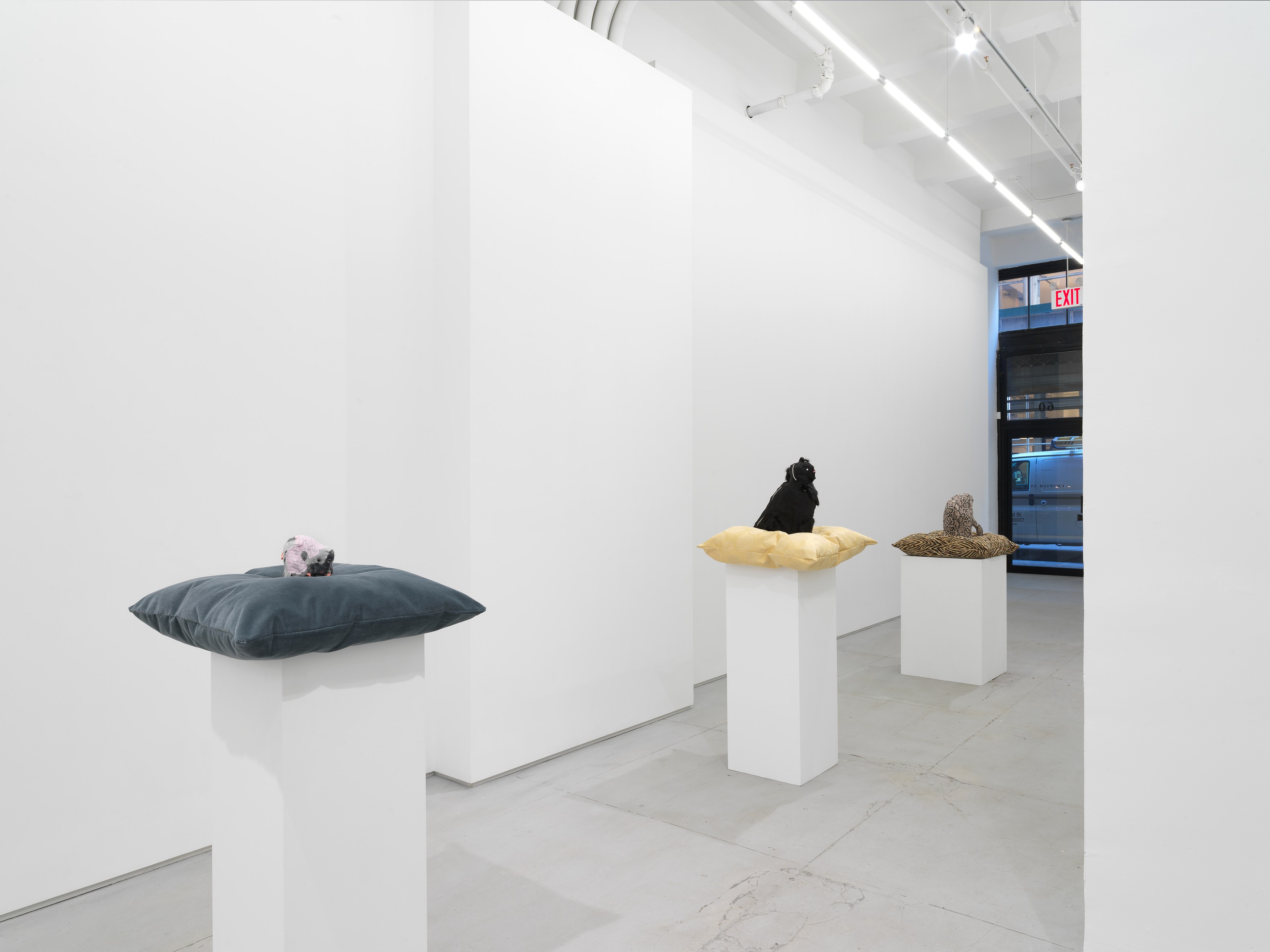 Installation view 6