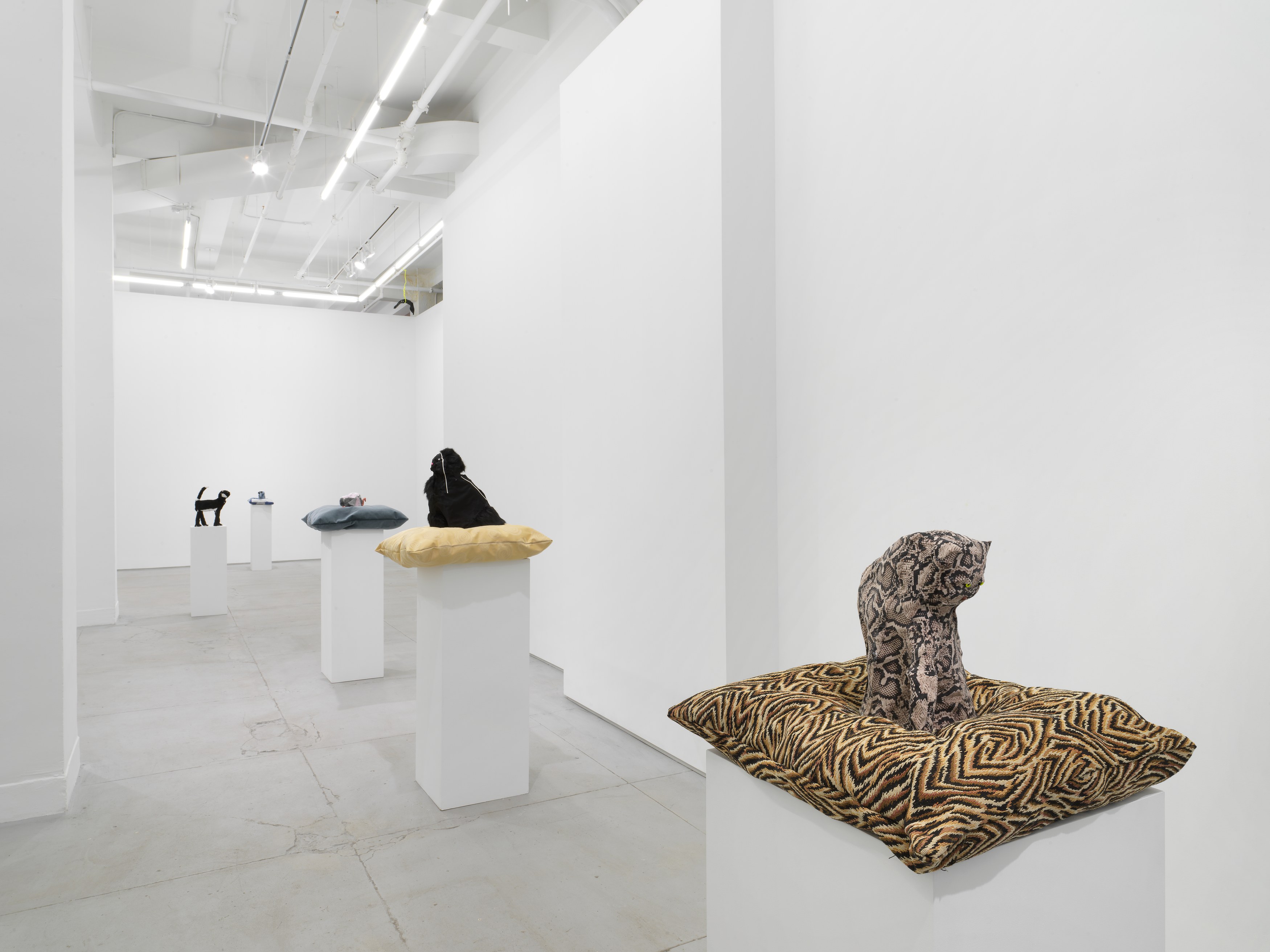 Installation view 5
