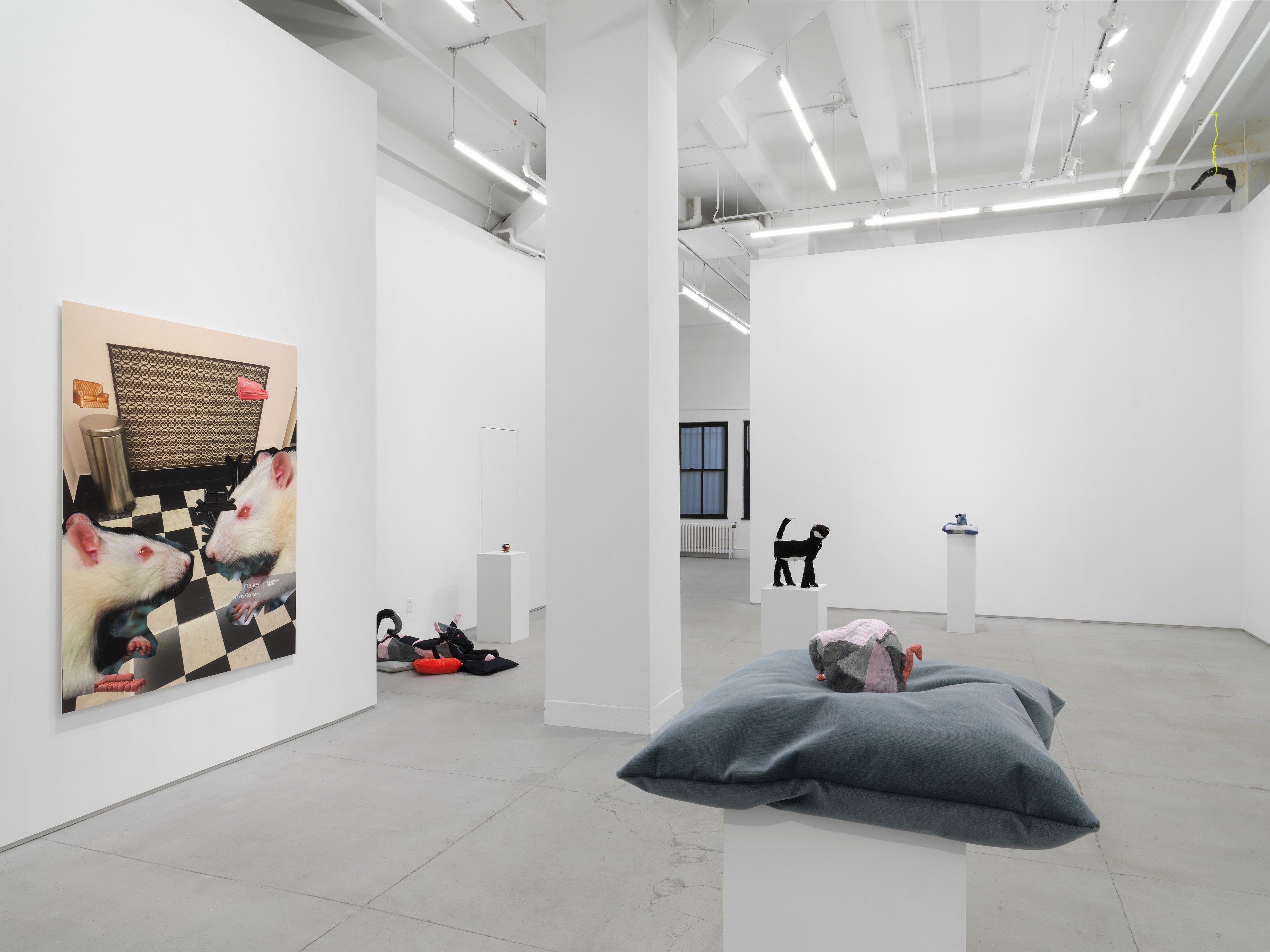 Installation view 8