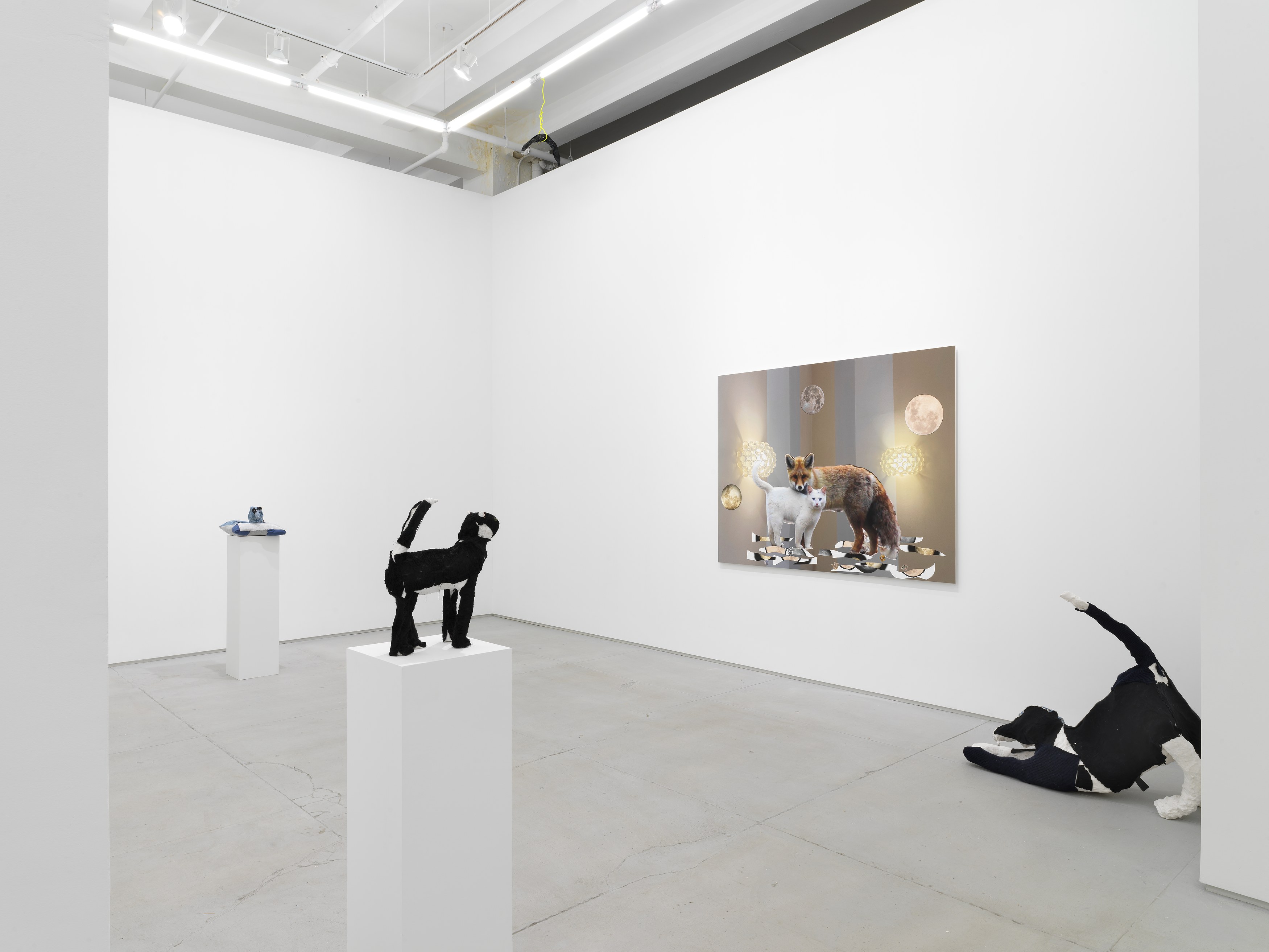 Installation view 7