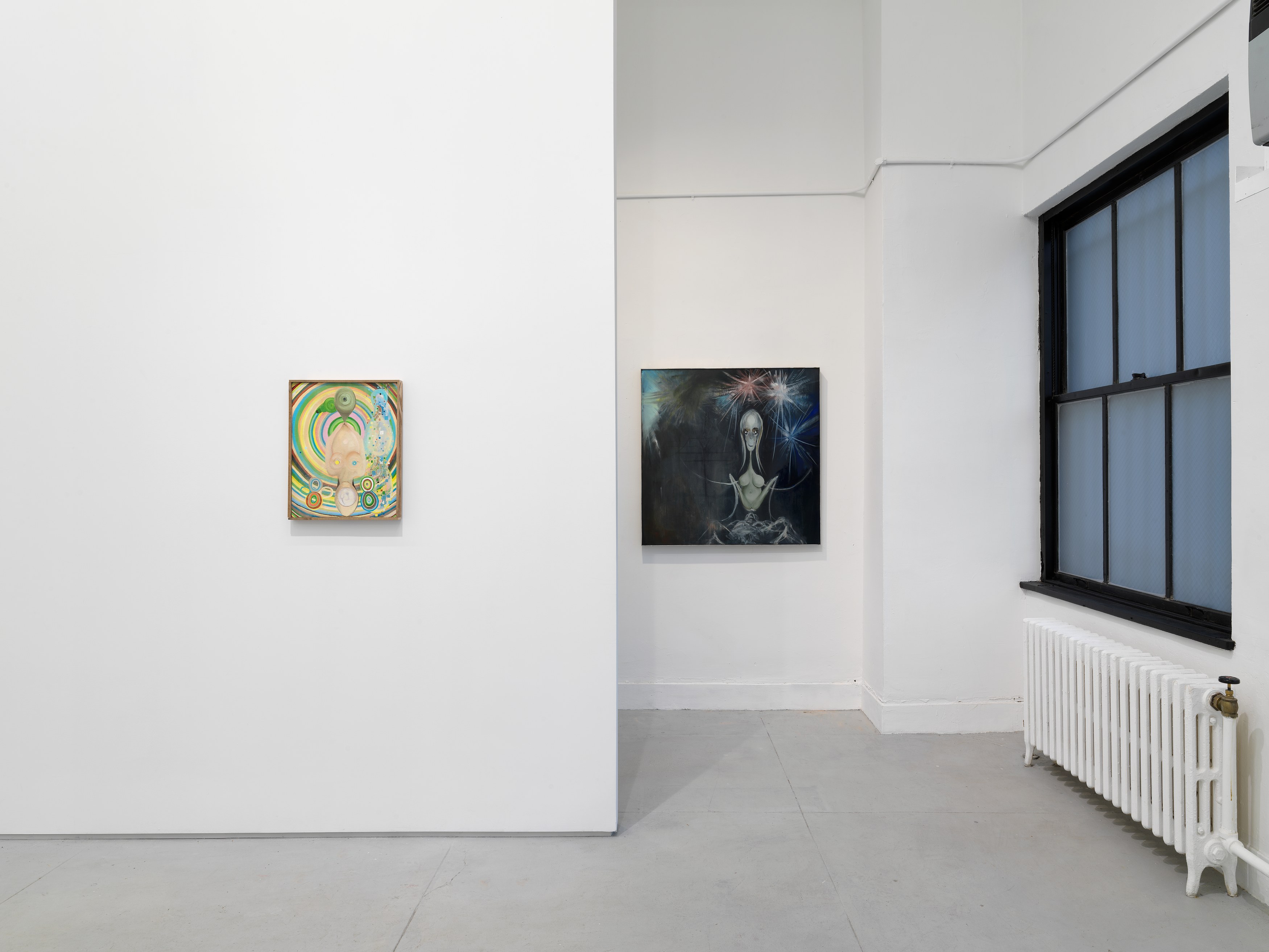 Installation view 7