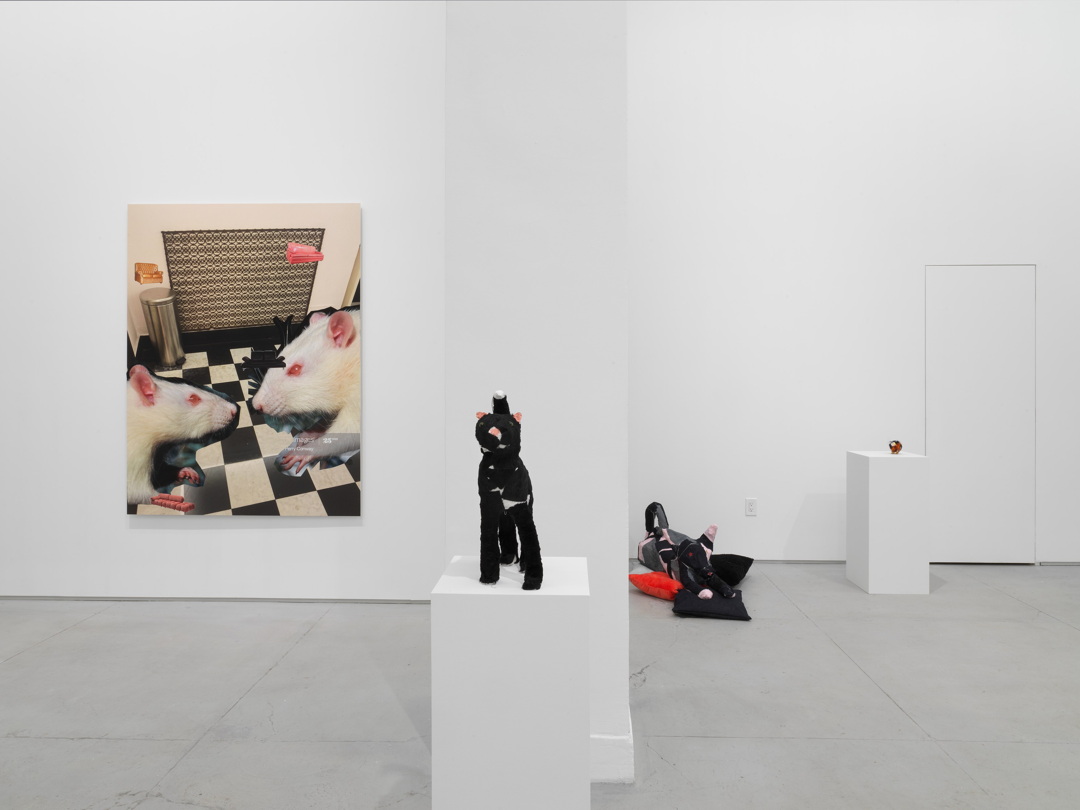 Installation view 9