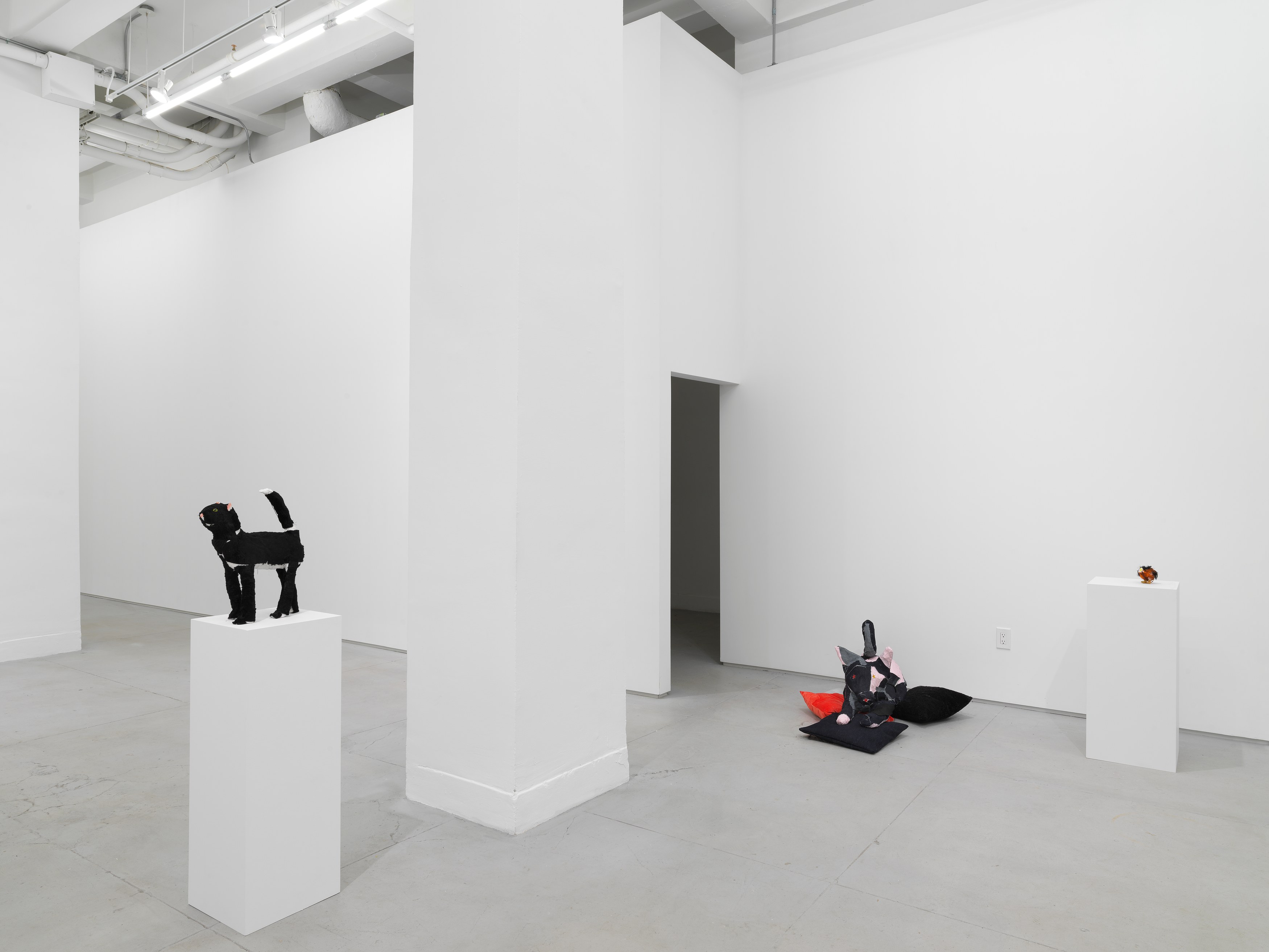Installation view 10