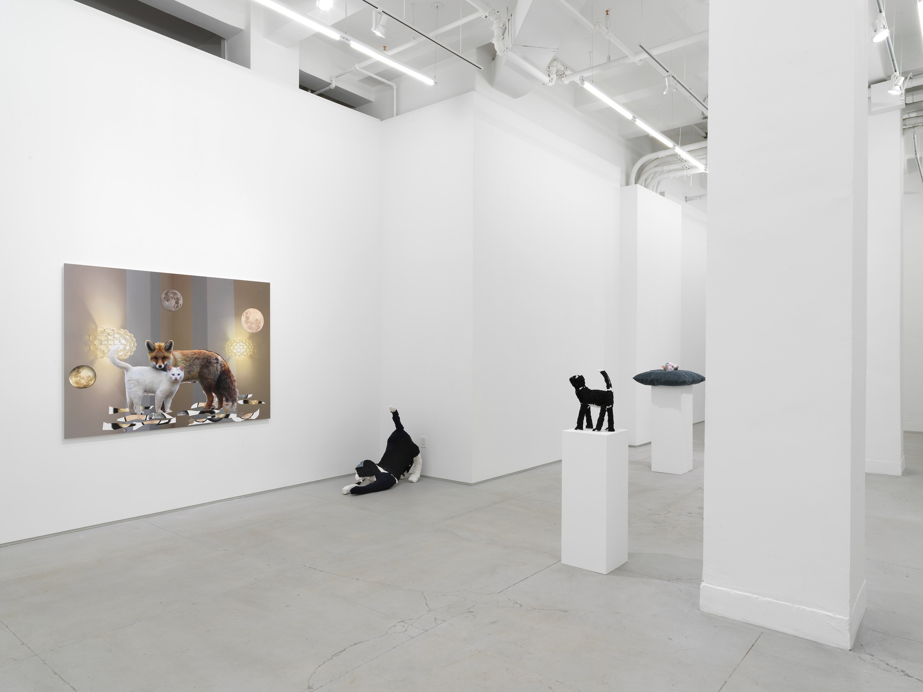 Installation view 12