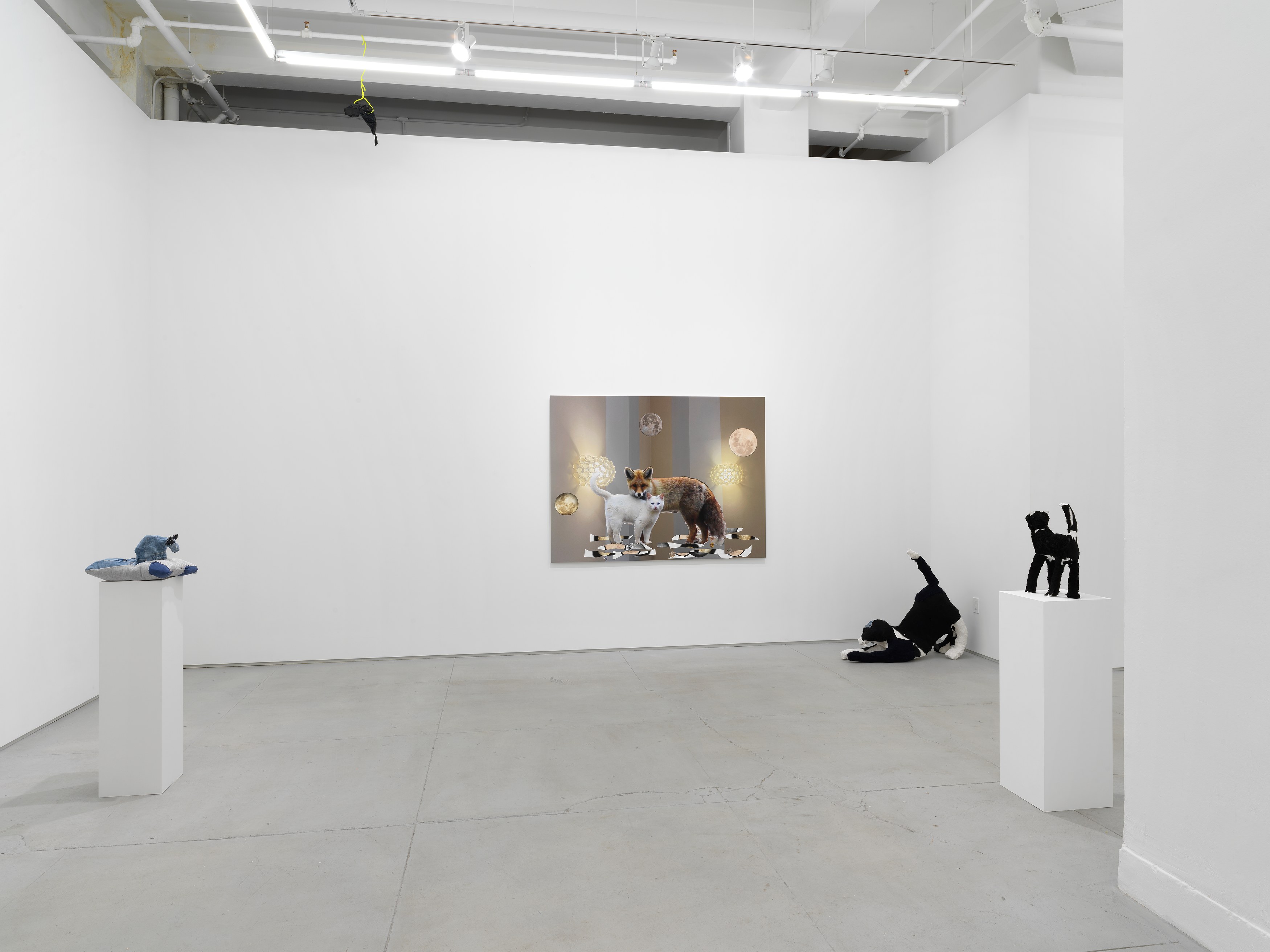 Installation view 11