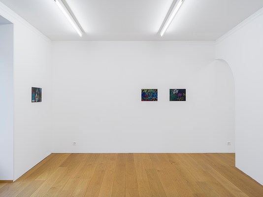Image 5 of 28