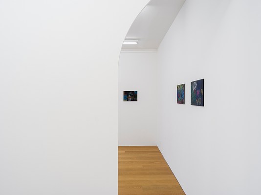 Image 7 of 28