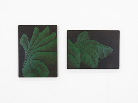 Image 17 of 28