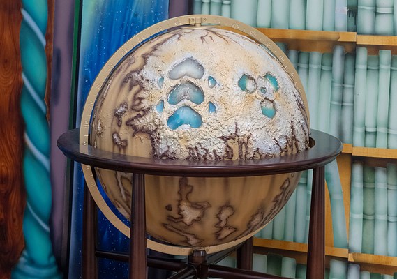 Image 8 of 14