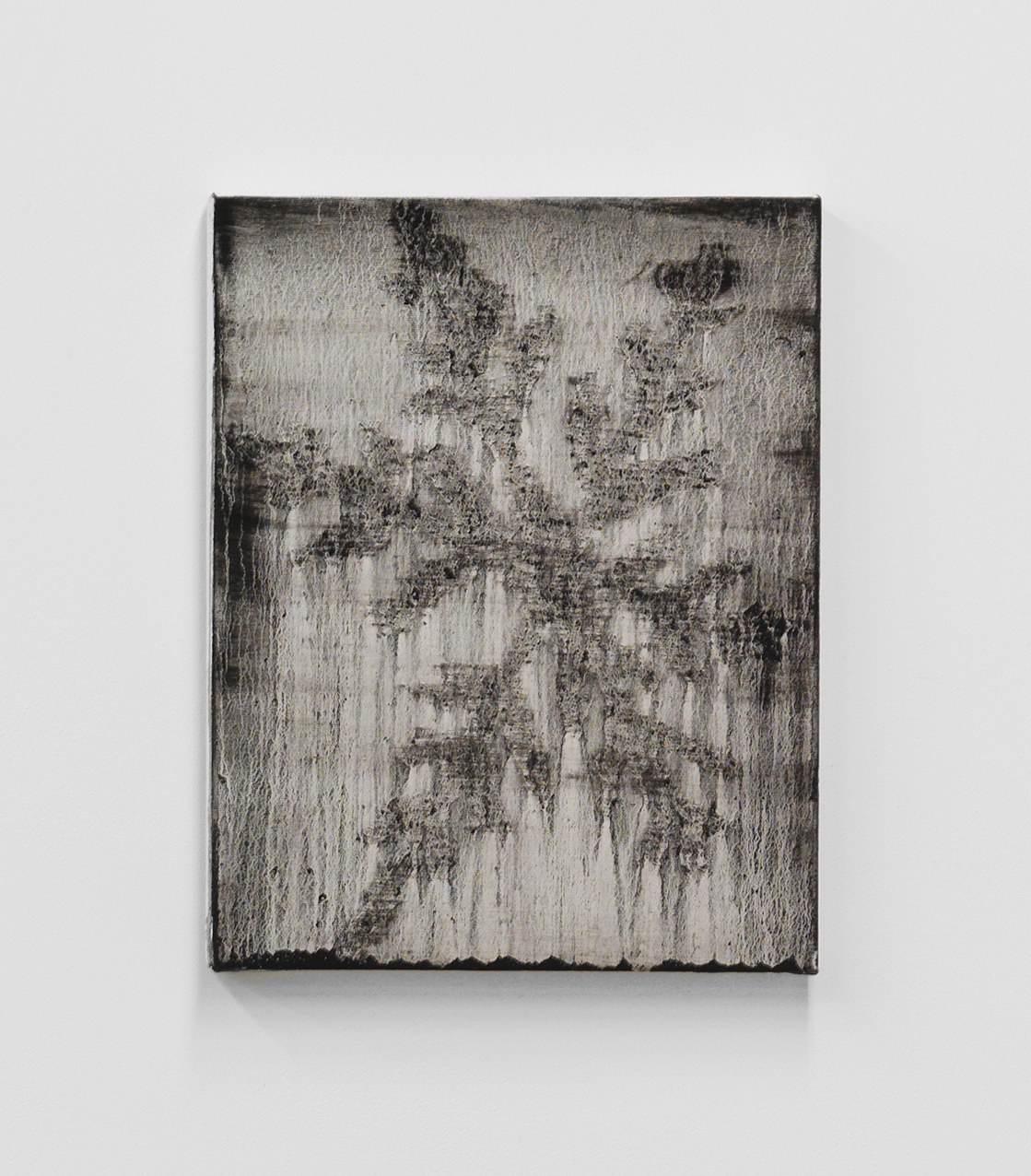 Alex Kwartler, Snowflake at Magenta Plains, photo 14