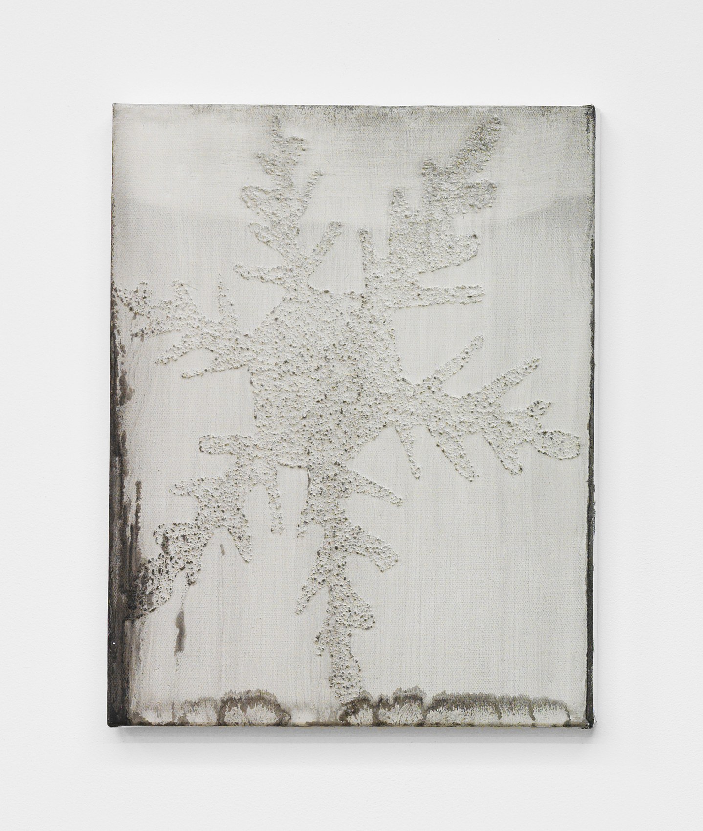 Alex Kwartler, Snowflake at Magenta Plains, photo 12