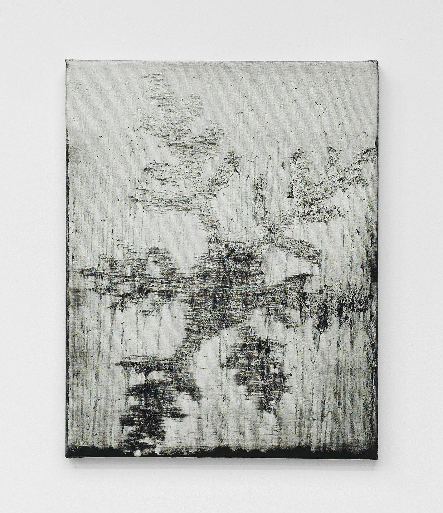 Alex Kwartler, Snowflake at Magenta Plains, photo 13