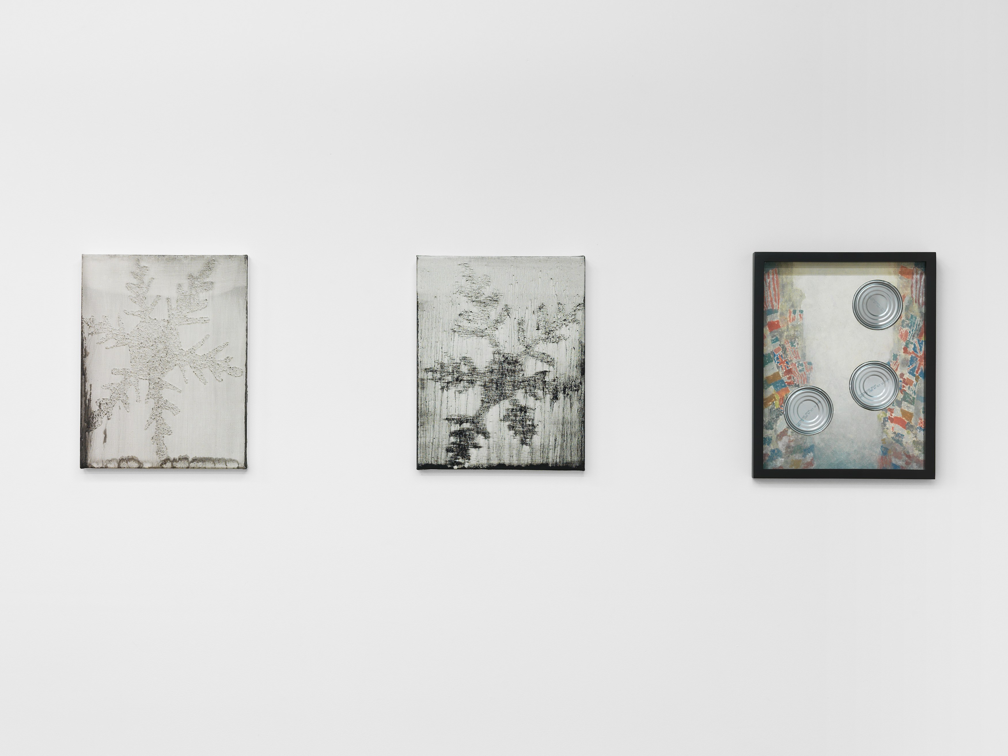 Alex Kwartler, Snowflake at Magenta Plains, photo 4