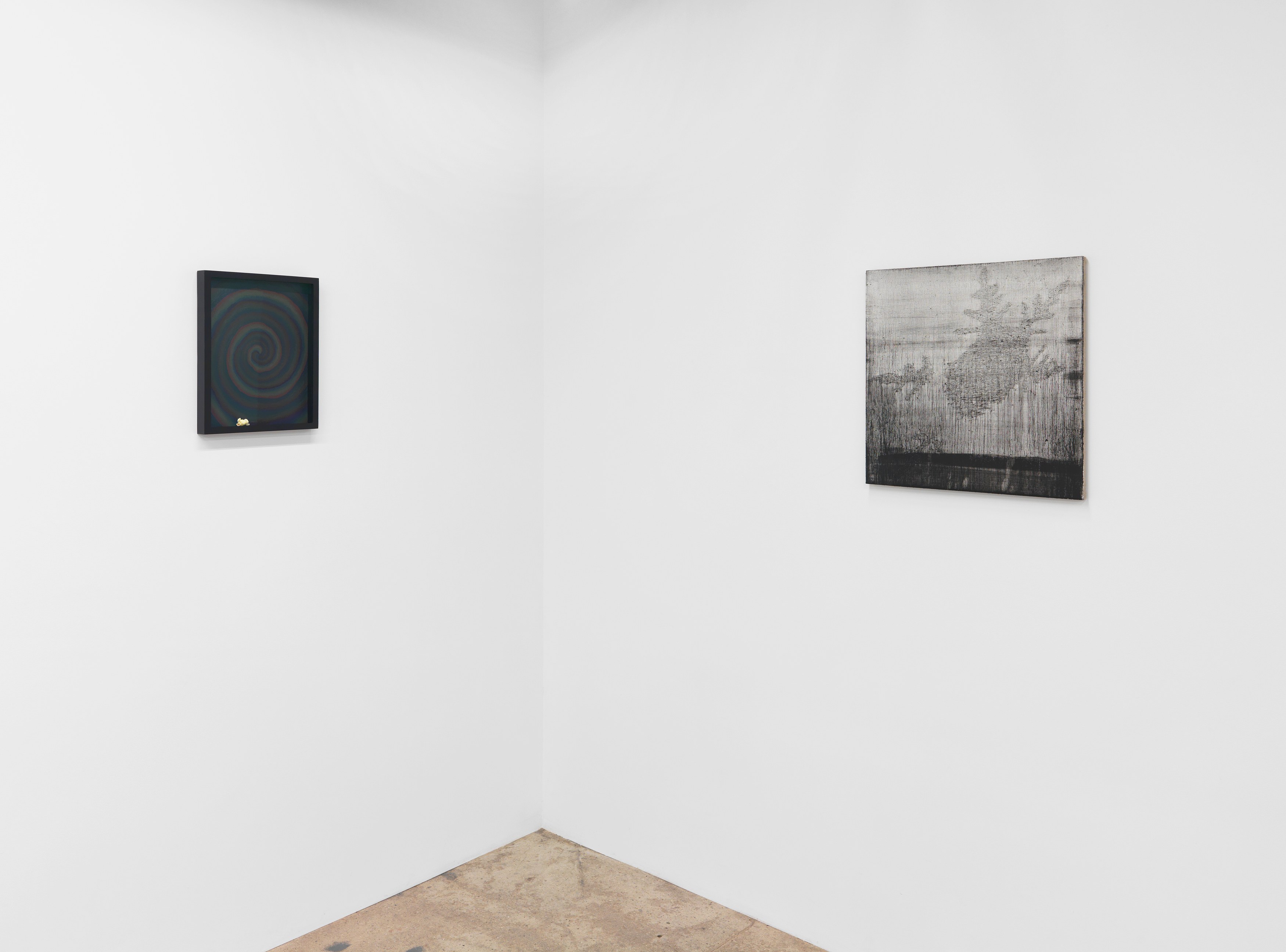 Alex Kwartler, Snowflake at Magenta Plains, photo 3