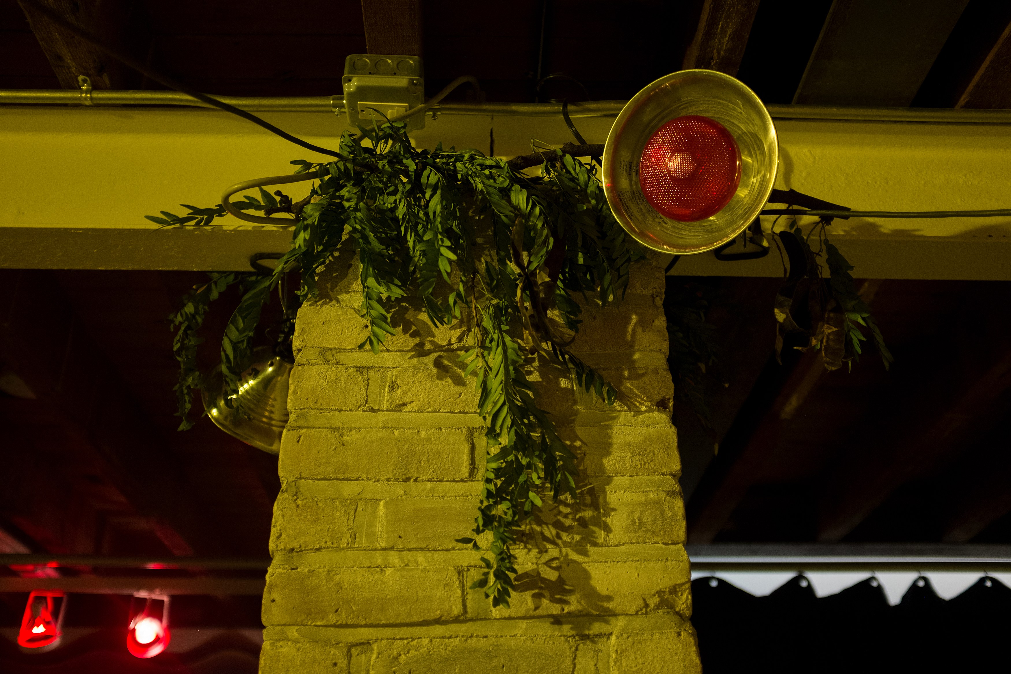 Nikholis Planck, Tempo House at Magenta Plains, photo 53