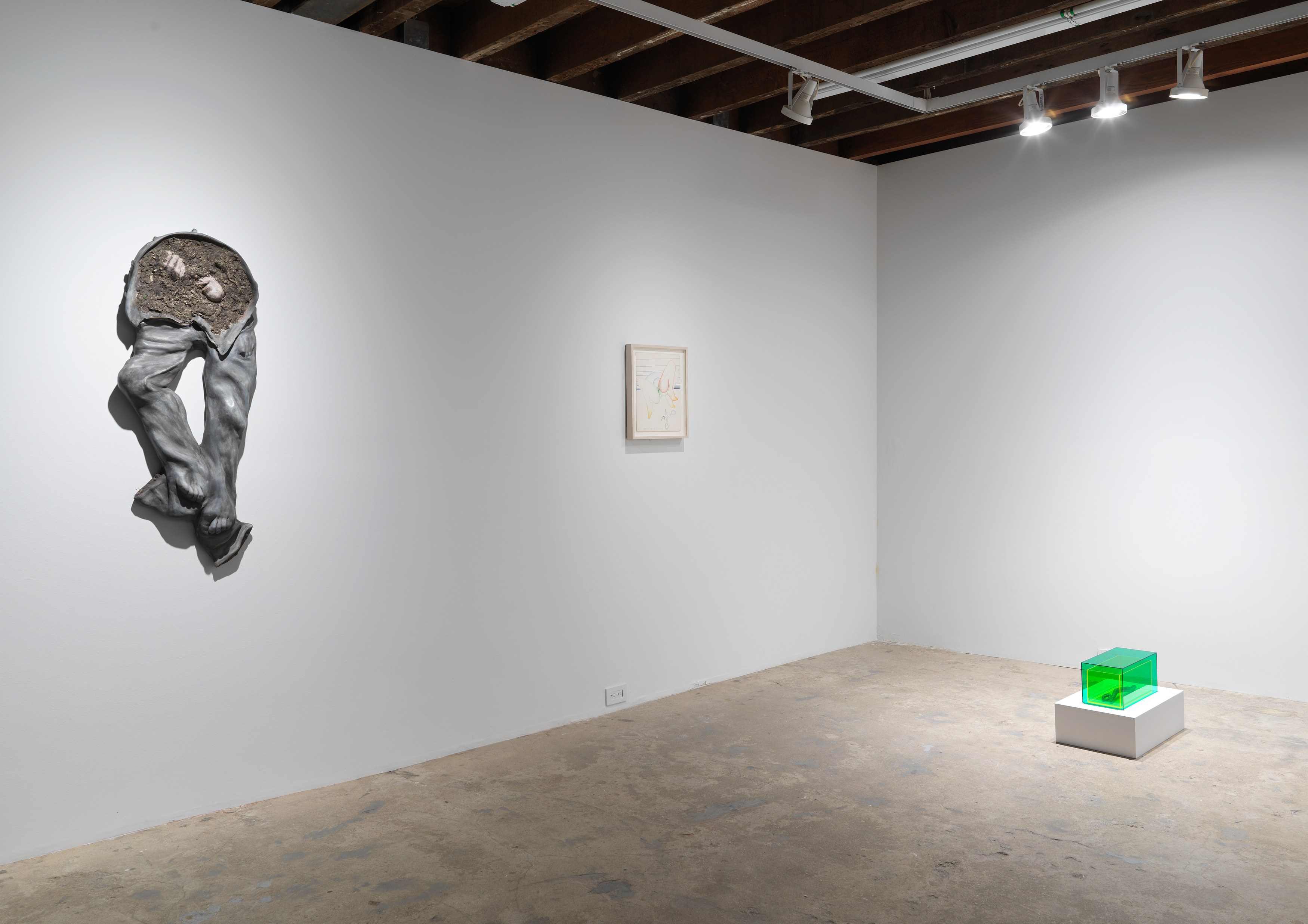 A Detached Hand, A Detached Hand at Magenta Plains, photo 8