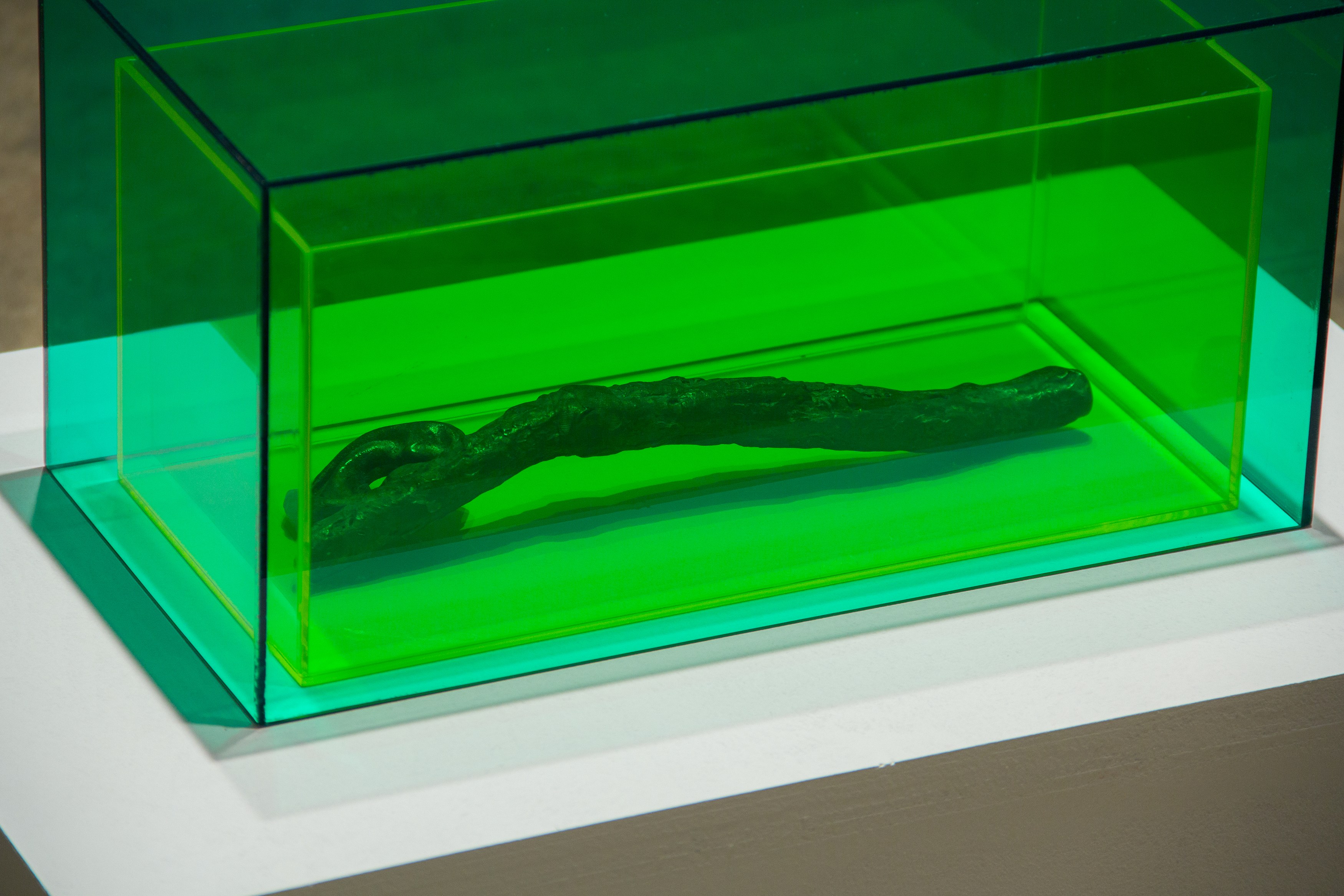 A Detached Hand, A Detached Hand at Magenta Plains, photo 12