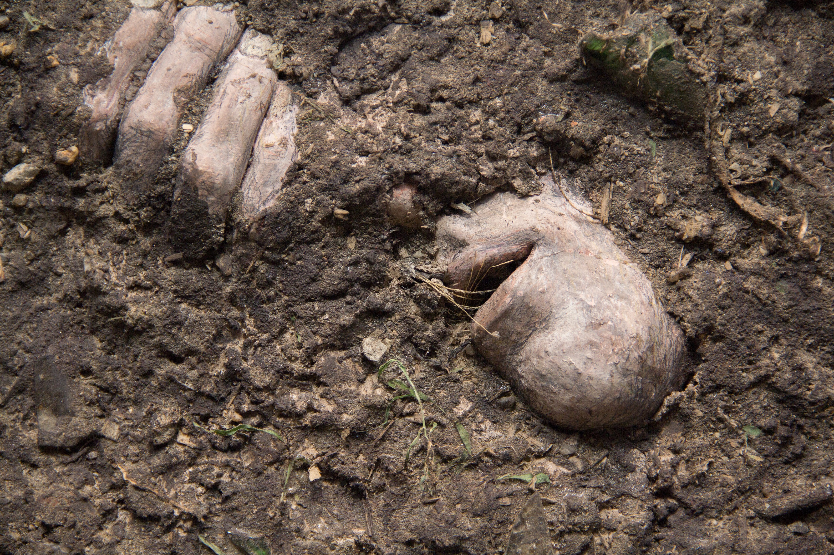 A Detached Hand, A Detached Hand at Magenta Plains, photo 27