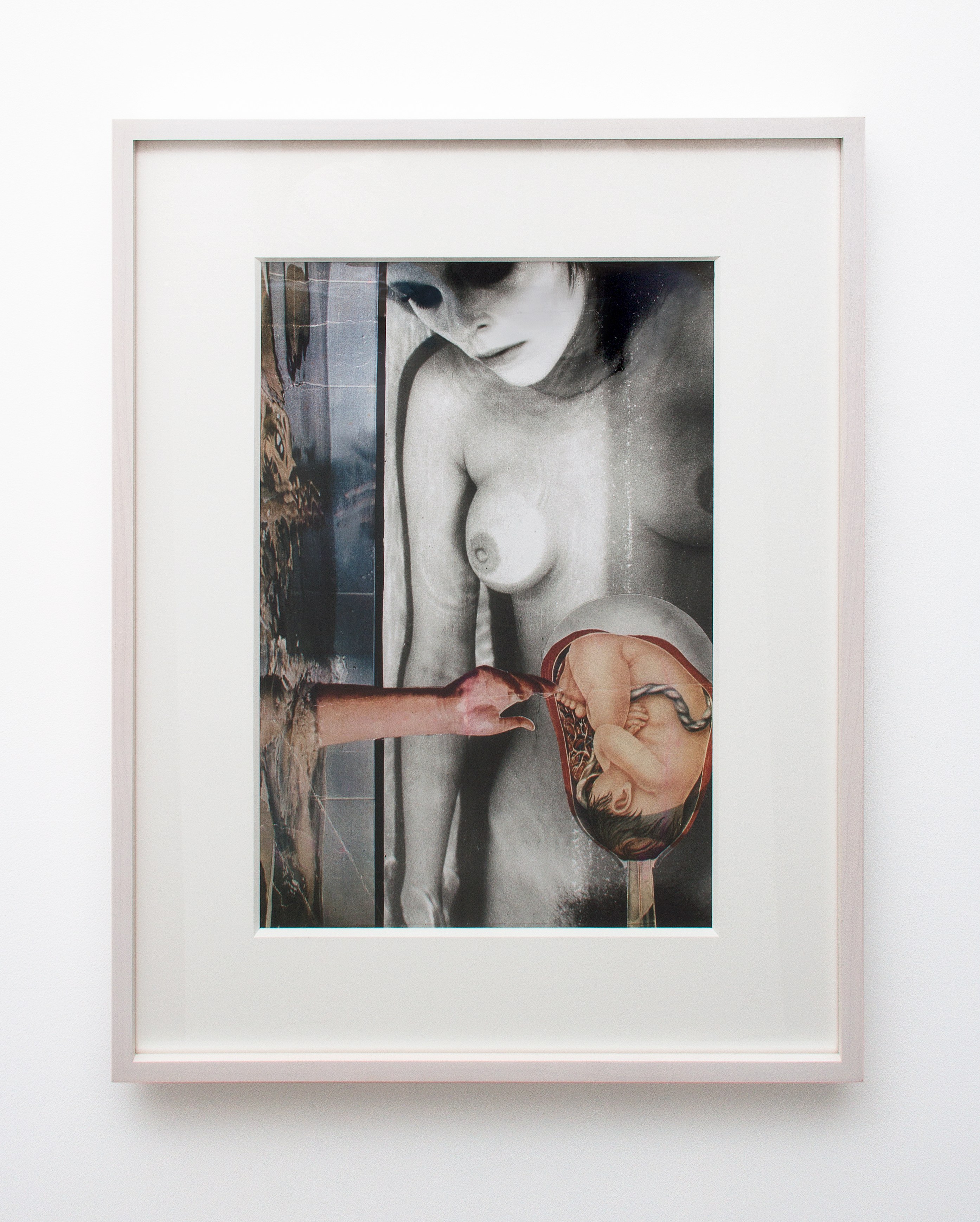A Detached Hand, A Detached Hand at Magenta Plains, photo 35