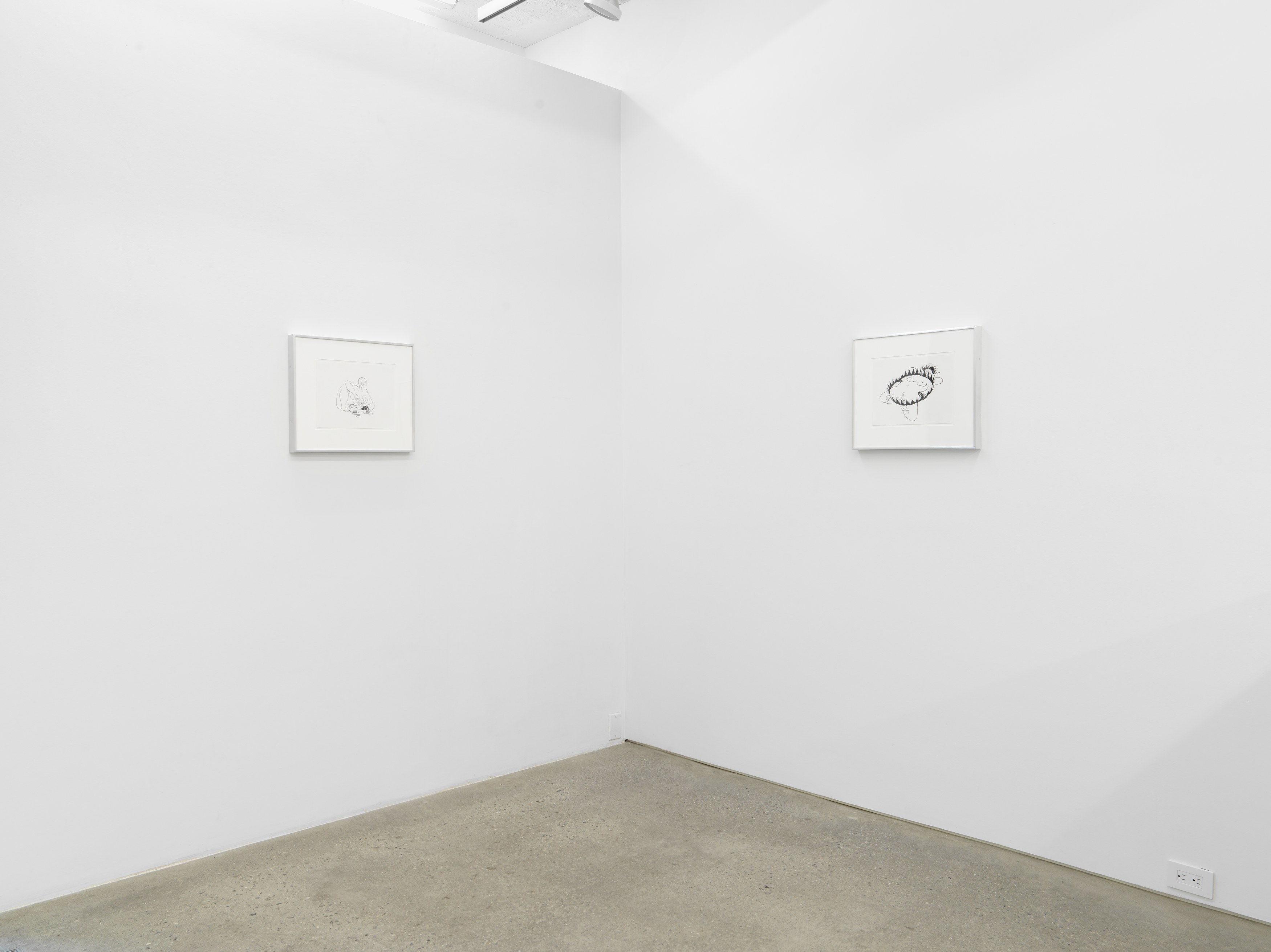Ebecho Muslimova, TRAPS! at Magenta Plains, photo 4