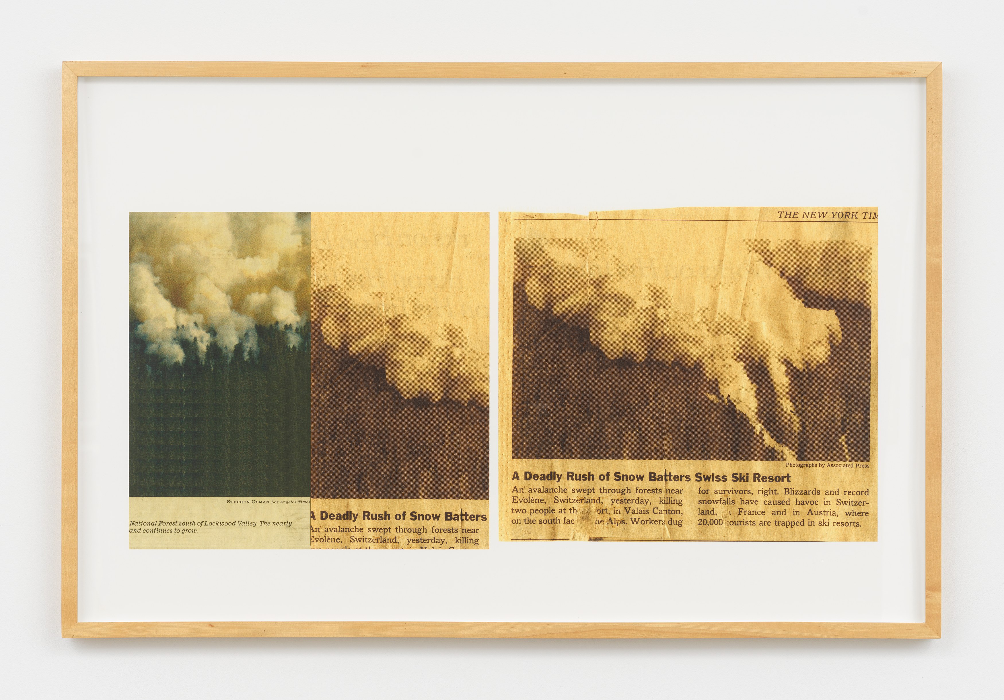 Jennifer Bolande, The Composition of Decomposition at Magenta Plains, photo 23