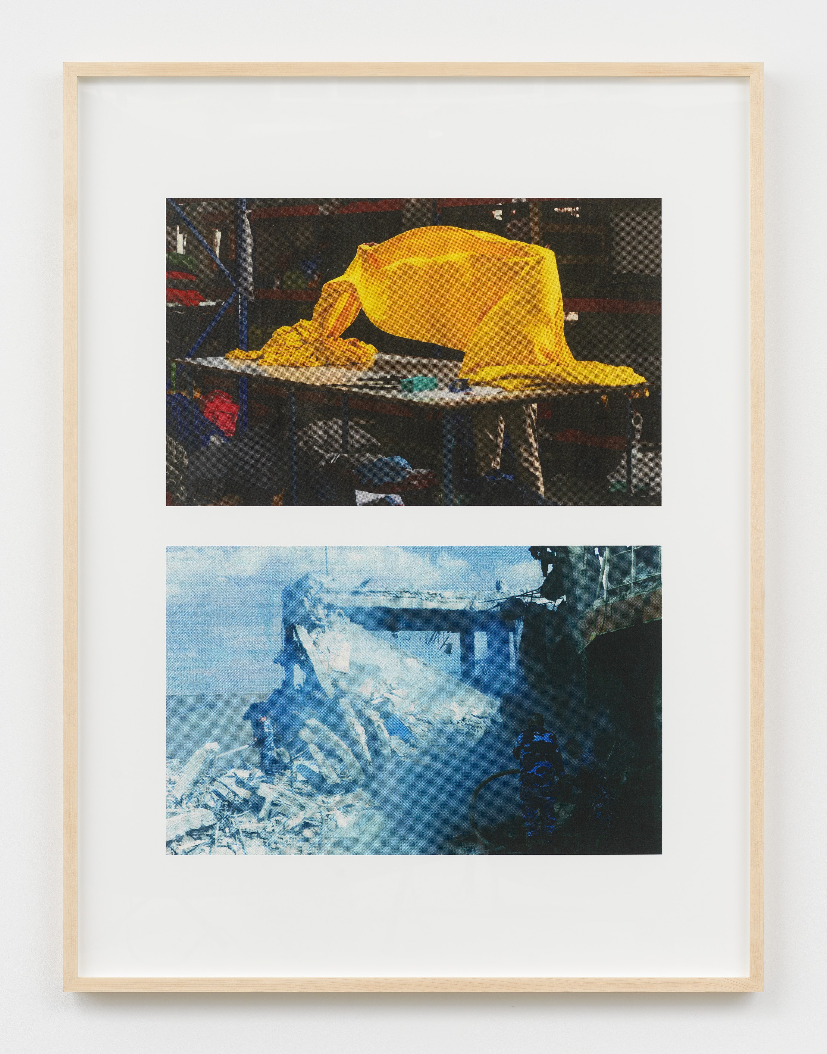 Jennifer Bolande, The Composition of Decomposition at Magenta Plains, photo 24