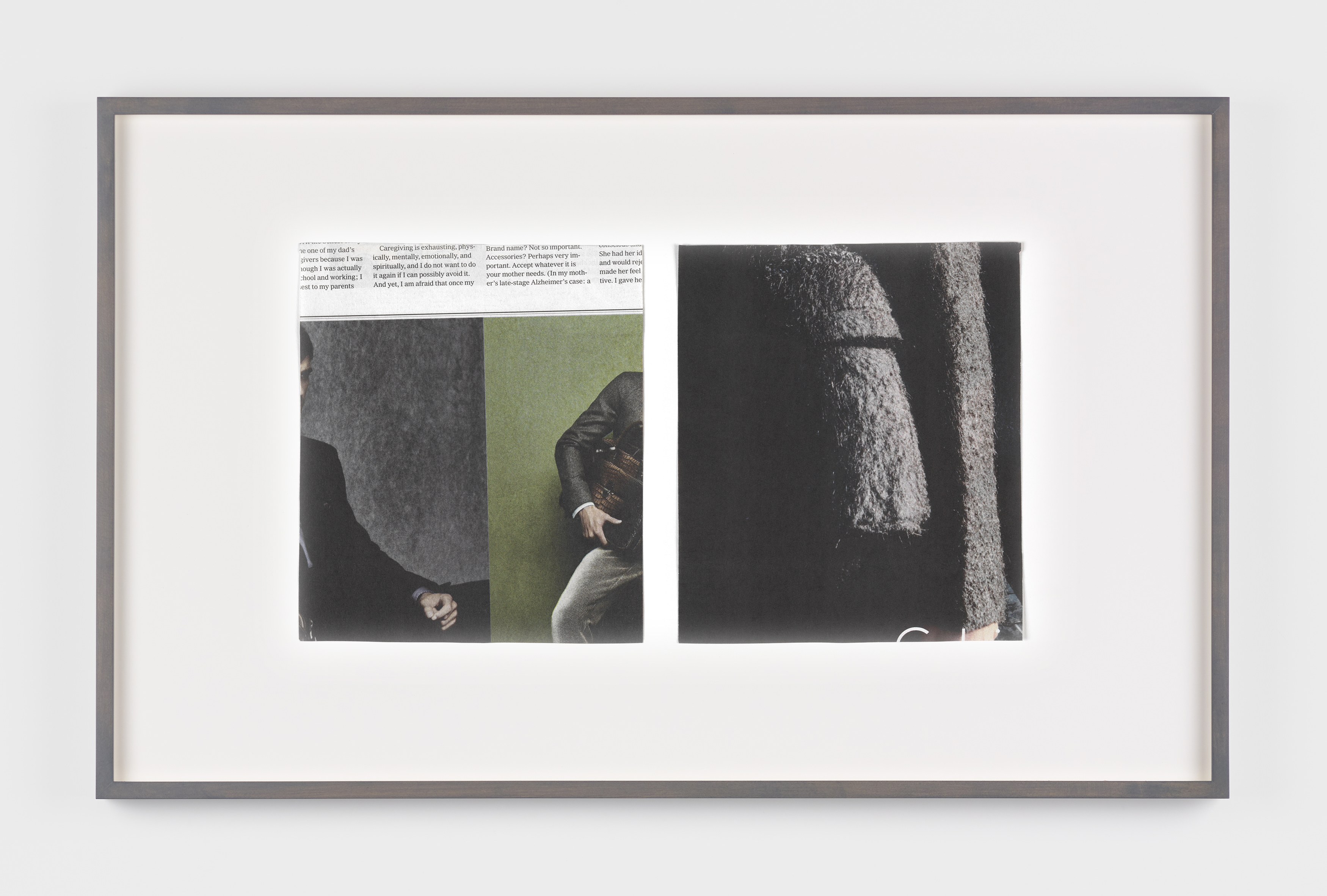 Jennifer Bolande, The Composition of Decomposition at Magenta Plains, photo 28