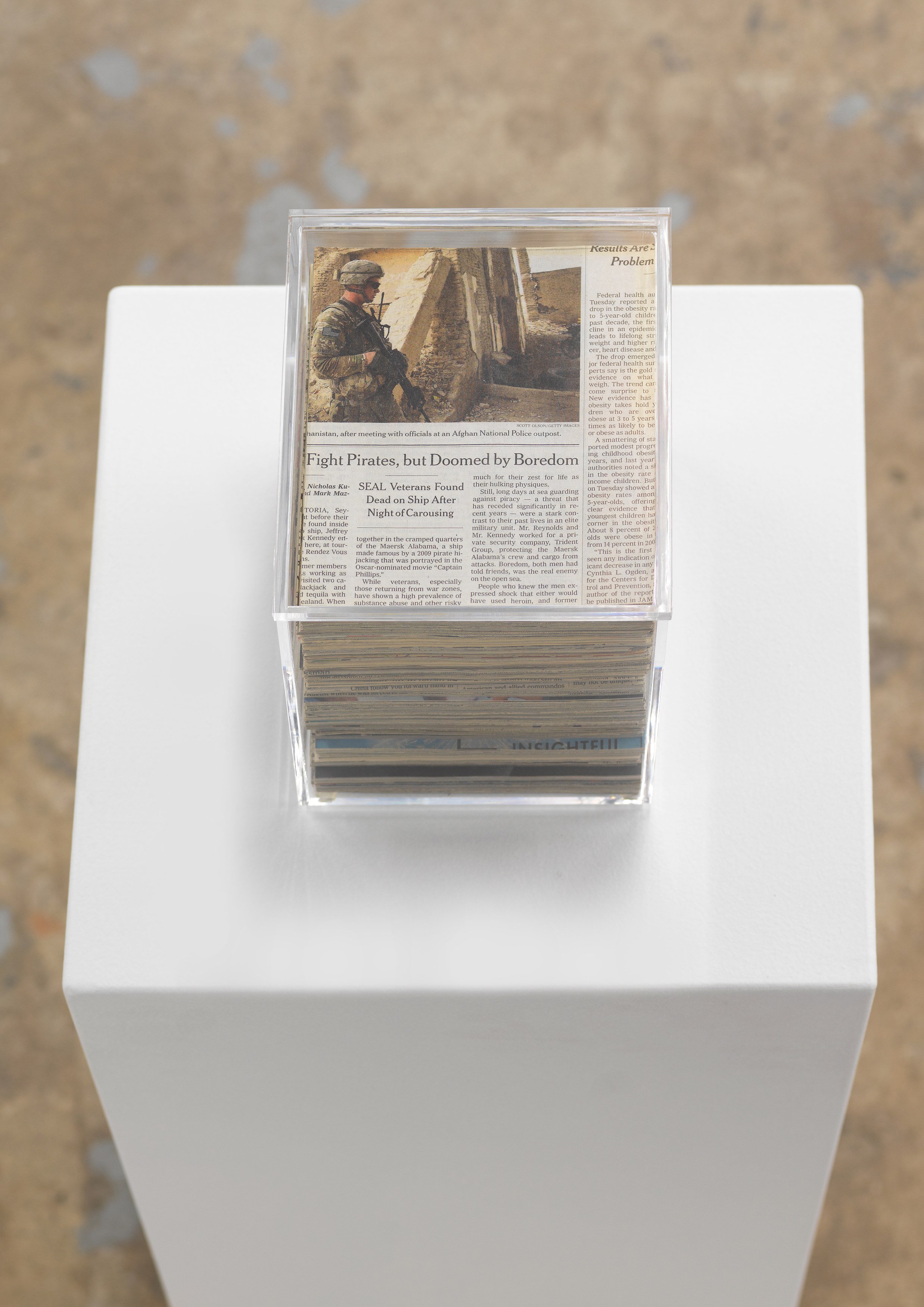 Jennifer Bolande, The Composition of Decomposition at Magenta Plains, photo 25