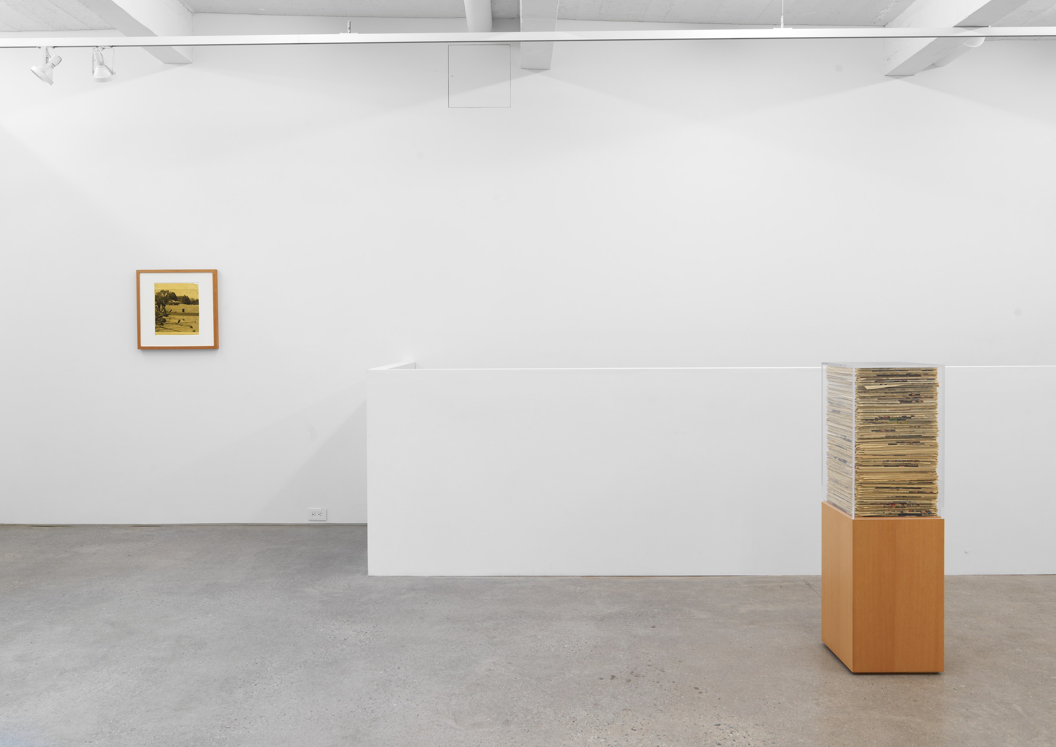 Jennifer Bolande, The Composition of Decomposition at Magenta Plains, photo 5