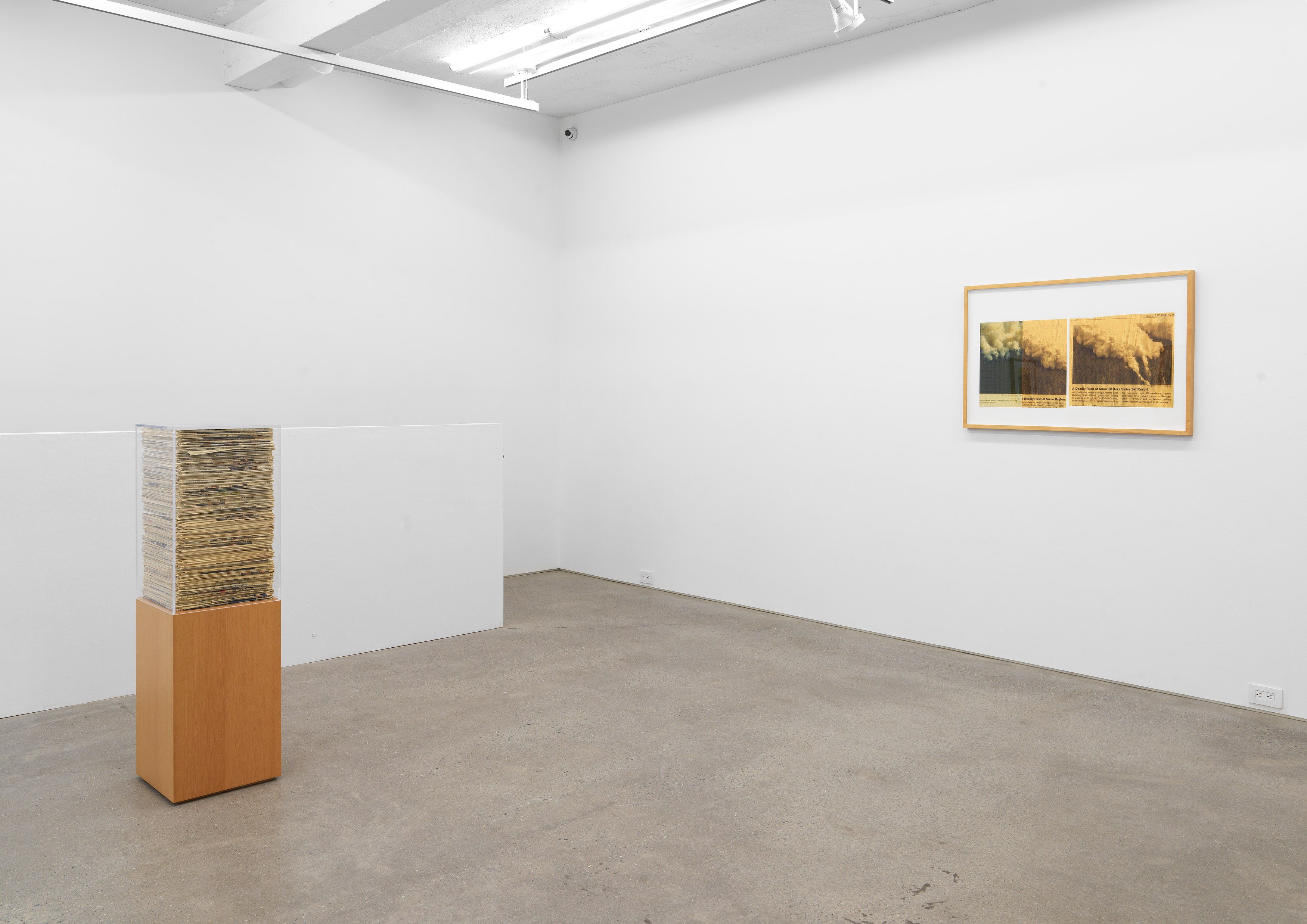 Jennifer Bolande, The Composition of Decomposition at Magenta Plains, photo 10