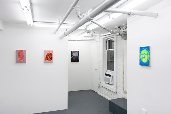 Image 10 of 40
