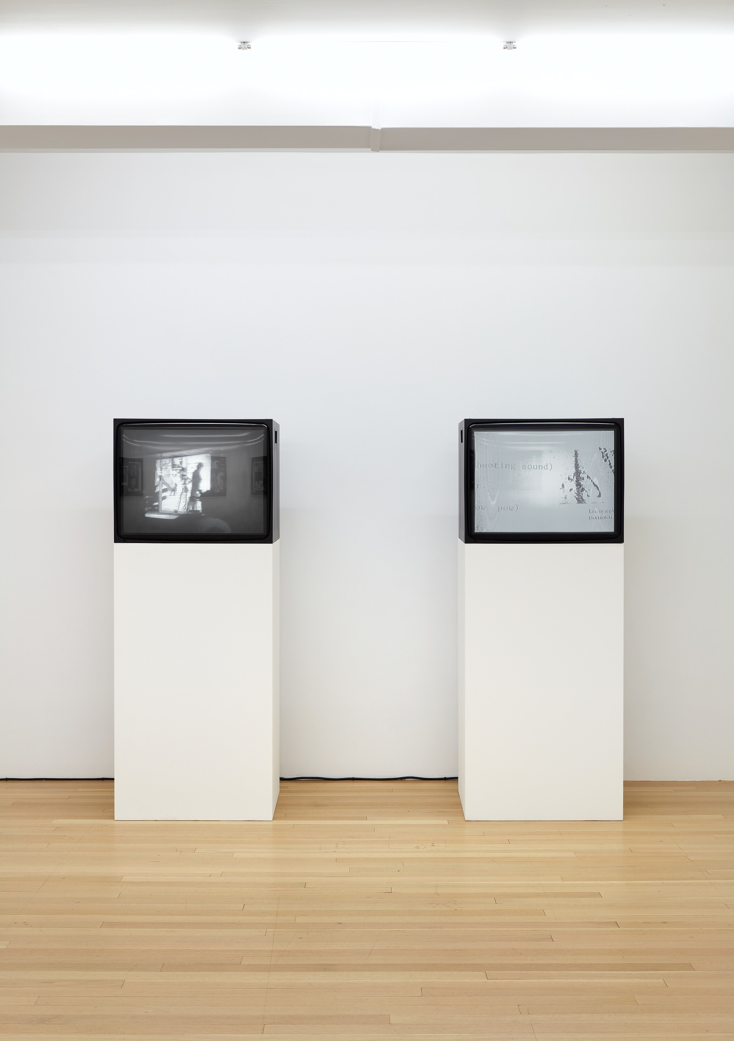 Lutz Bacher, The Lee Harvey Oswald Interview at Galerie Buchholz, Berlin, photo 10