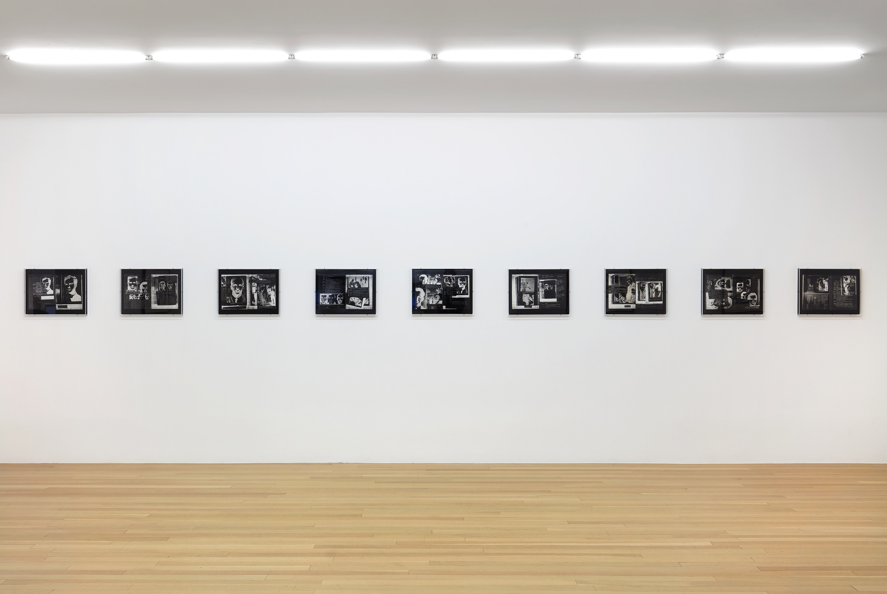 Lutz Bacher, The Lee Harvey Oswald Interview at Galerie Buchholz, Berlin, photo 24