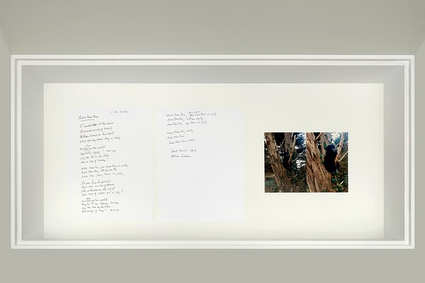 Image 12 of 12