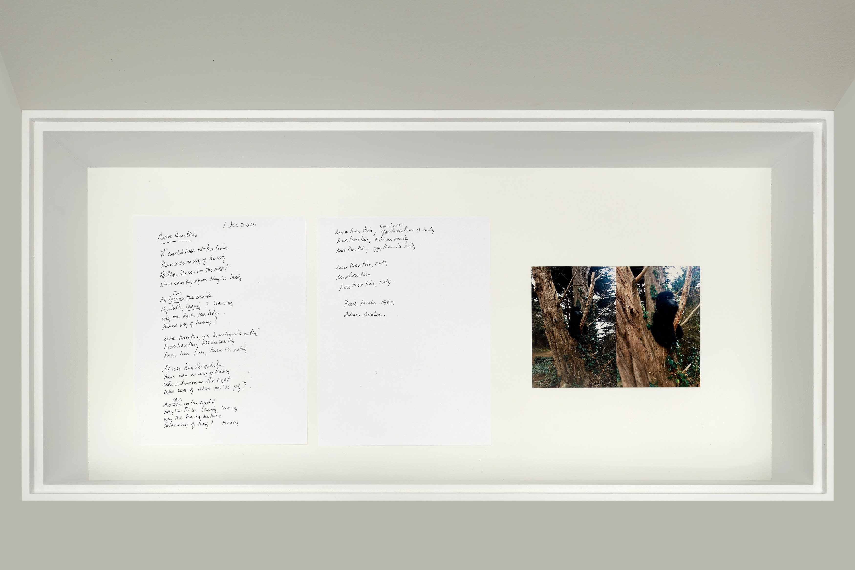 Lutz Bacher, More Than This at Galerie Buchholz, Berlin, photo 12