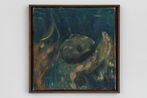 Image 11 of 25