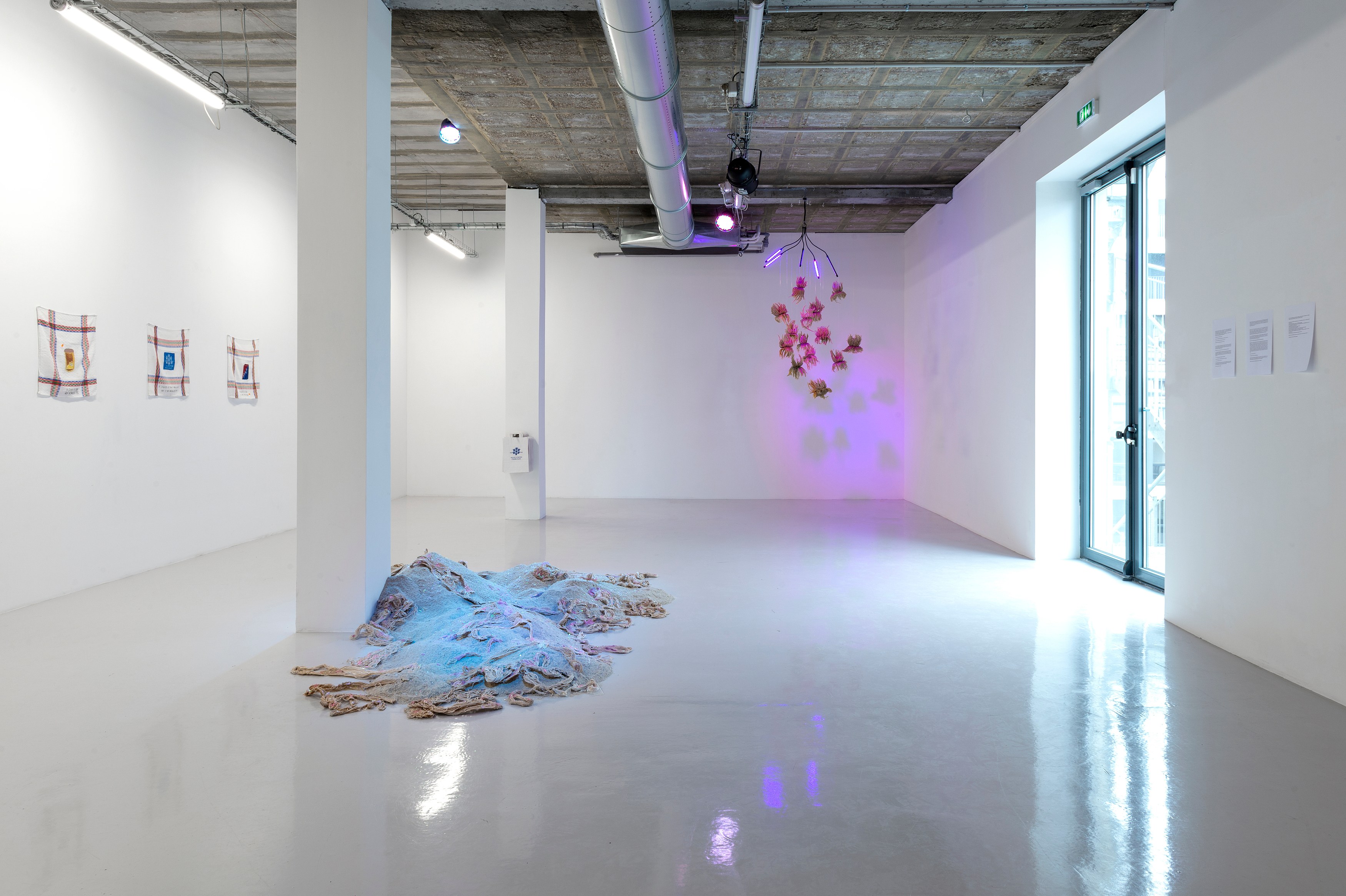 Mégane Brauer, Mordre et Tenir. Chapitre 3 at Air de Paris, photo 2