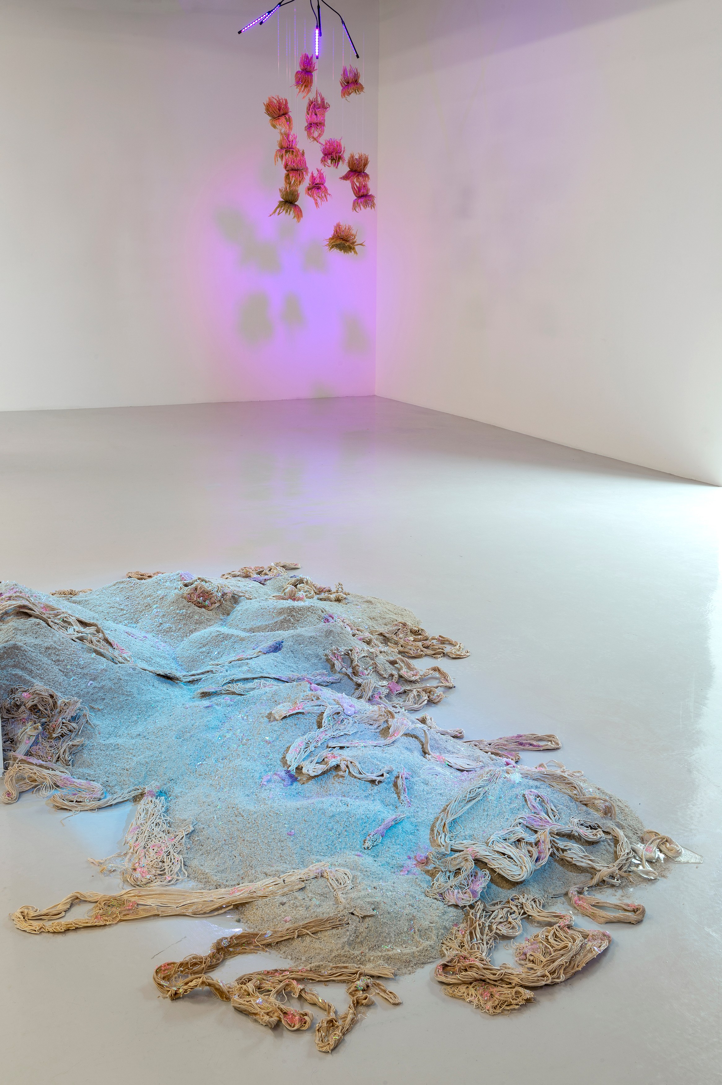 Mégane Brauer, Mordre et Tenir. Chapitre 3 at Air de Paris, photo 7
